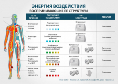 ЧЭНС-01-Скэнар в Звенигороде купить Скэнар официальный сайт - denasvertebra.ru 